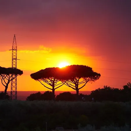 Bed & Breakfast Villino Fiorella Ciampino